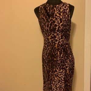 Lauren Dress